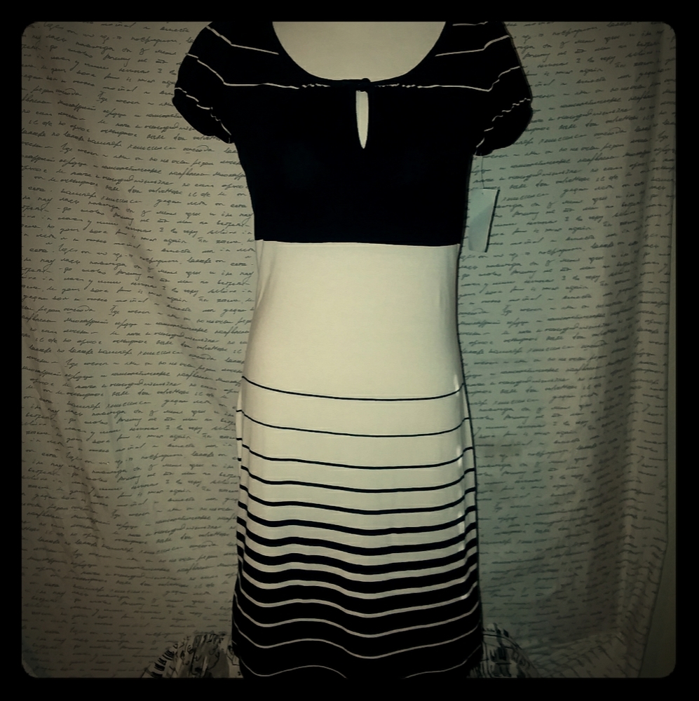Laundry by Shelli Segal dress